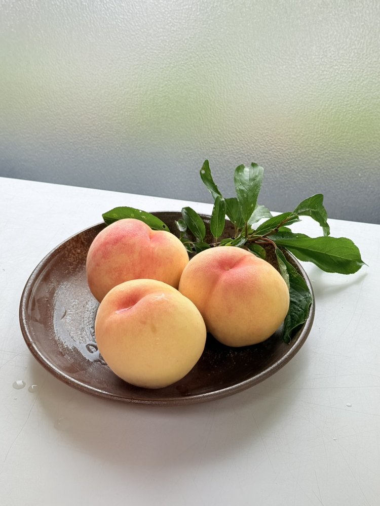 フルーツパークびぜんの加納岩白桃（2026年収穫）